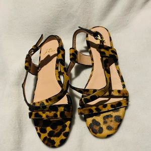 J Crew leopard print leather strappy sandals.  Size 7.5